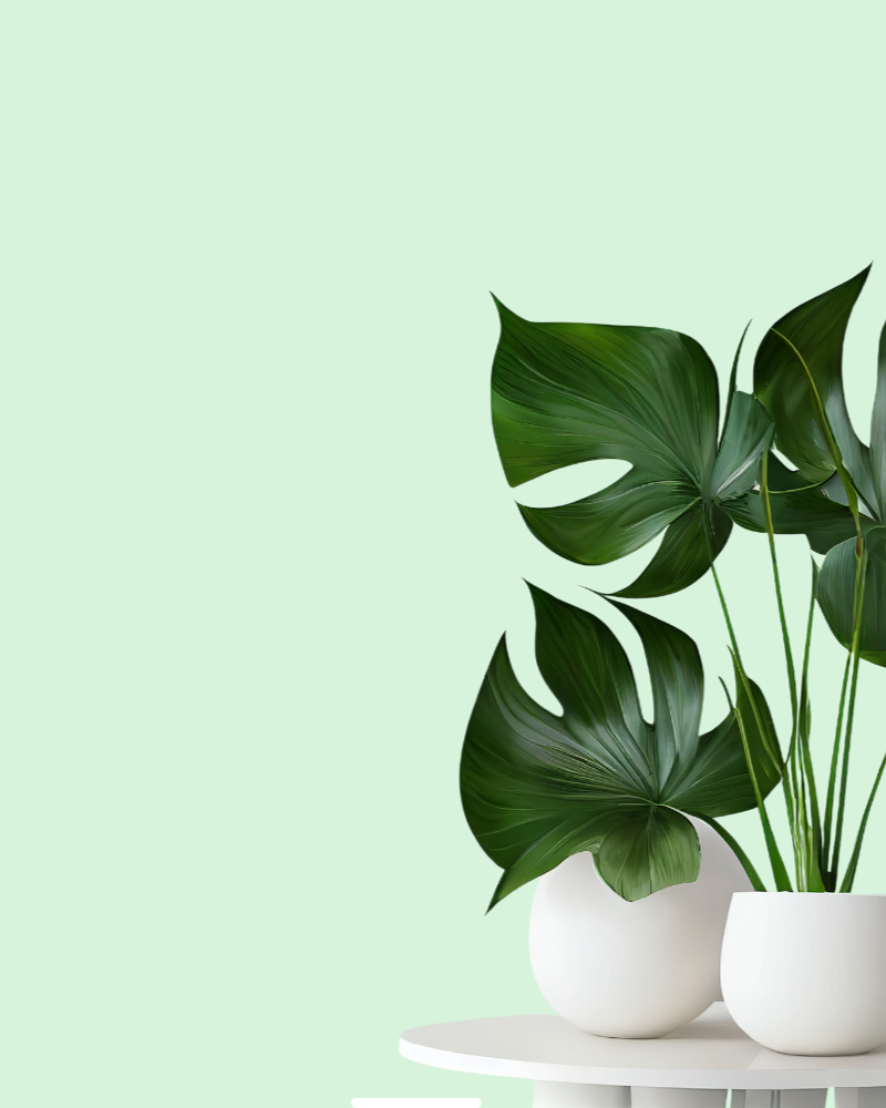 Wohnideen mit Kunstpflanzen: So gestalten Sie Ihr Zuhause modern und pflegeleicht