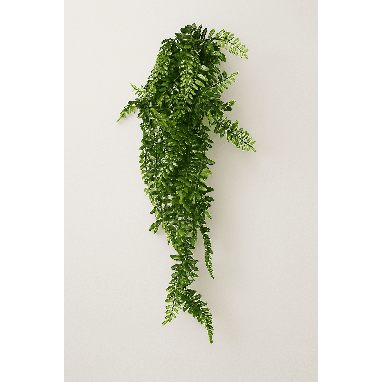 Kunstpflanze - Farne Wanddekoration Hängepflanze - Studio Verde, pflegeleichte künstliche Pflanze, ideal für moderne Deko.