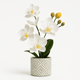 Kunstpflanze - Orchideen Kunstpflanze - Studio Verde in dekorativem Topf mit weißen Blüten und Knospen.