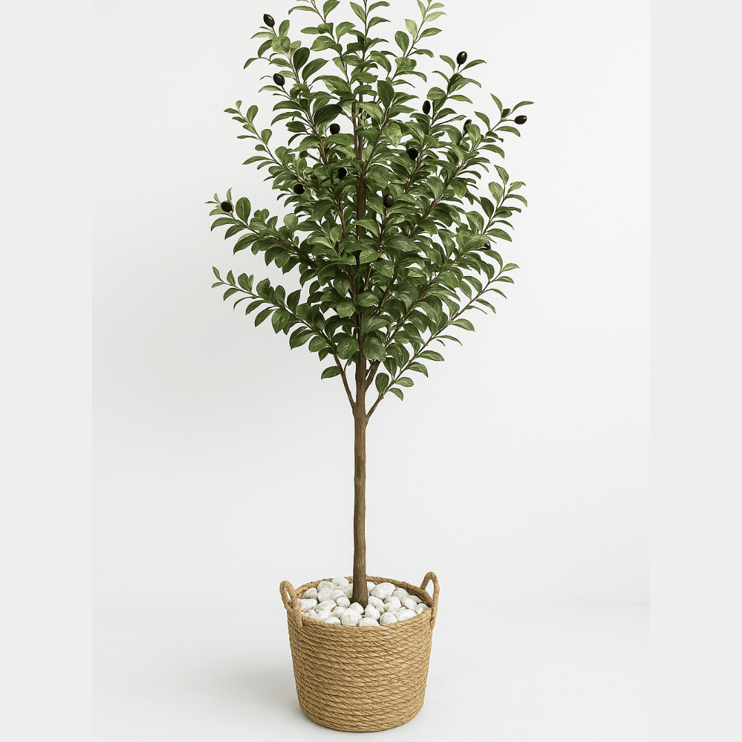 Oliven Baum XXL in rustikalem Korb, naturgetreu mit Blättern und kleinen Oliven, mediterraner Stil.