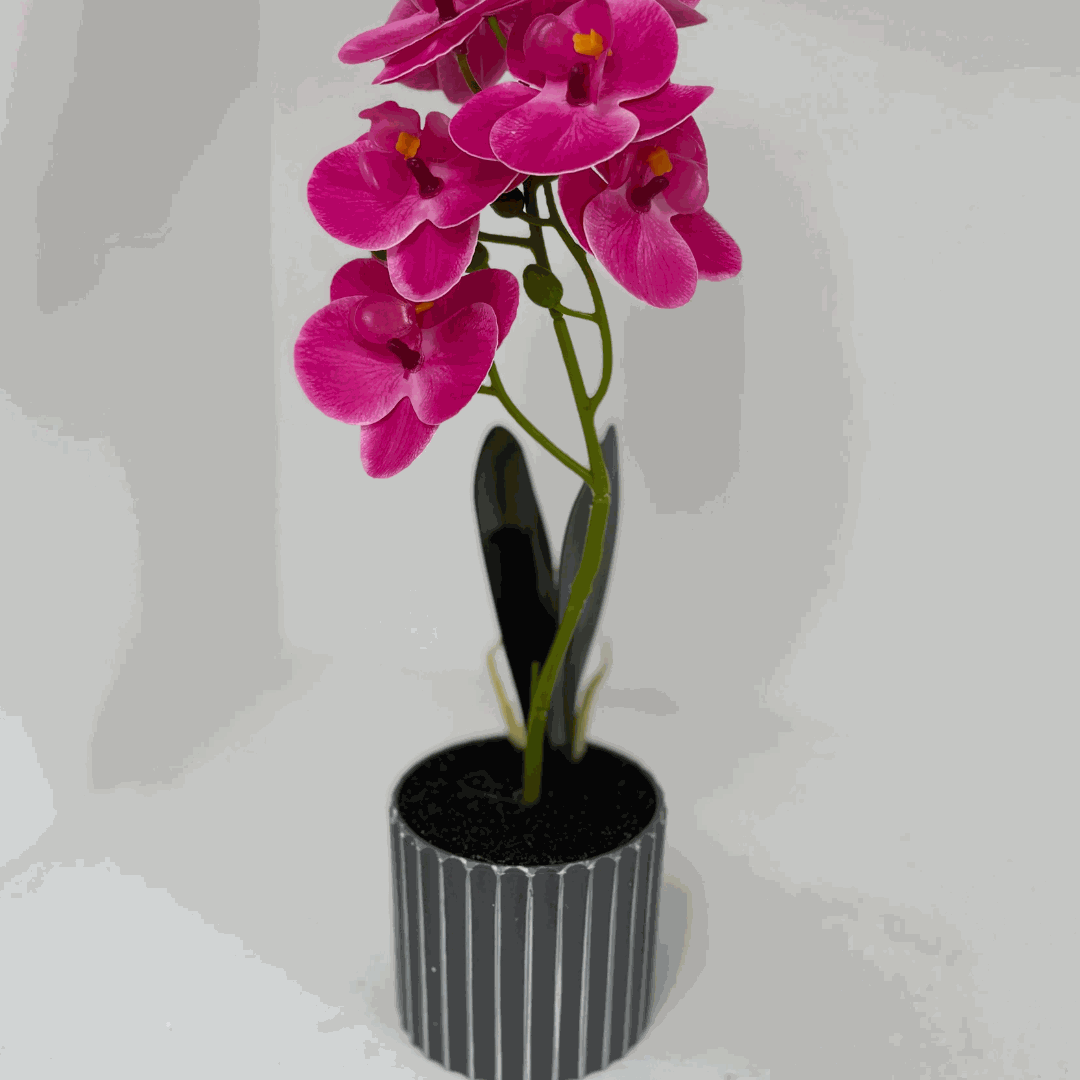 Kunstplfanze - Orchidee Kunstpflanze - Studio Verde in leuchtendem Pink, ideal für moderne Deko und pflegeleichte Kunstpflanzen.