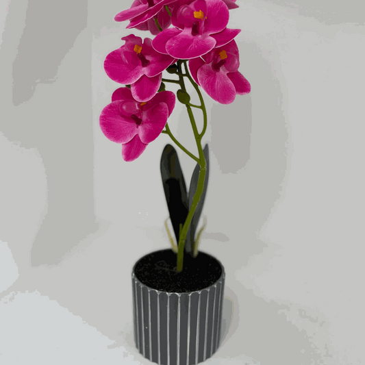 Kunstplfanze - Orchidee Kunstpflanze - Studio Verde in leuchtendem Pink, ideal für moderne Deko und pflegeleichte Kunstpflanzen.