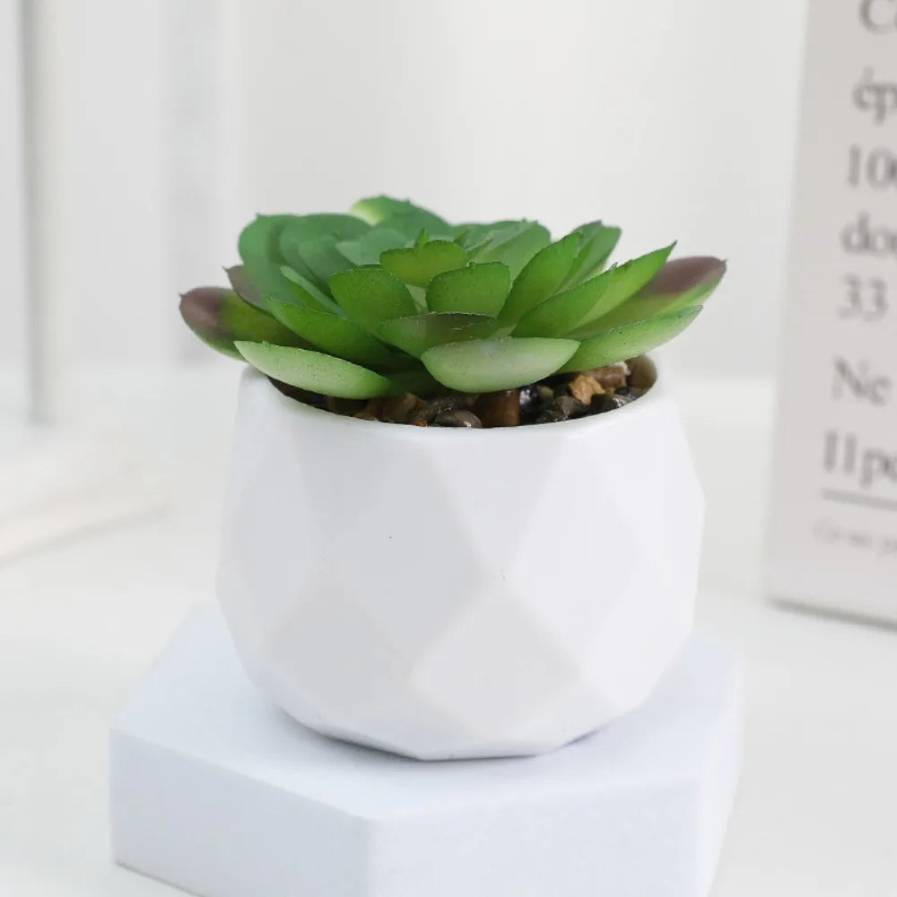 Sukkulenten Bonsai Mini Kunstpflanzen
