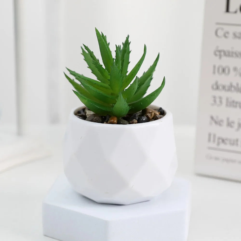 Sukkulenten Bonsai Mini Kunstpflanzen