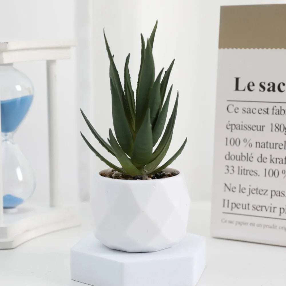 Kunstpflanze - Sukkulenten Bonsai Mini Kunstpflanzen - Studio Verde in weißem Topf, pflegeleichte Deko für moderne Räume.