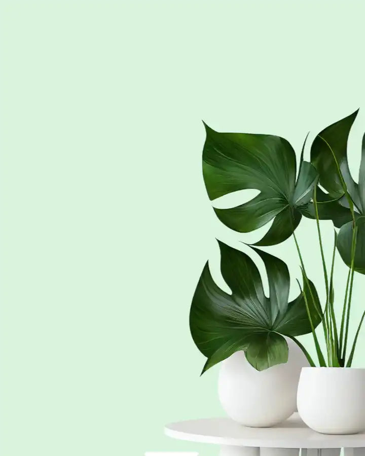 Wohnideen mit Kunstpflanzen: So gestalten Sie Ihr Zuhause modern und pflegeleicht