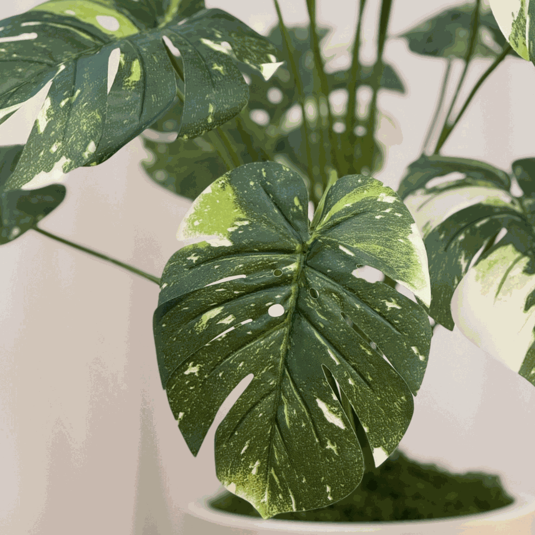 Kunstpflanze - Monstera Kunstpflanze XXL - Studio Verde