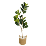Kunstpflanze - Fikus Tree Kunstpflanze XXL - Studio Verde in einem Topf mit Steinen, pflegeleichte Kunstpflanzen für modernes Wohnen.