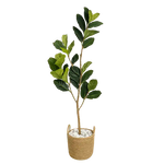 Künstlicher Fikus Tree 160cm mit dichten glänzenden Blättern, pflegefreie Kunstpflanze für harmonische Wohnräume