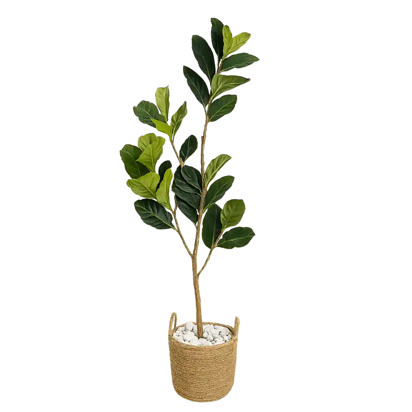 Künstlicher Fikus Tree 160cm mit dichten glänzenden Blättern, pflegefreie Kunstpflanze für harmonische Wohnräume