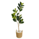 Künstlicher Fikus Tree 160cm mit dichten glänzenden Blättern, pflegefreie Kunstpflanze für harmonische Wohnräume