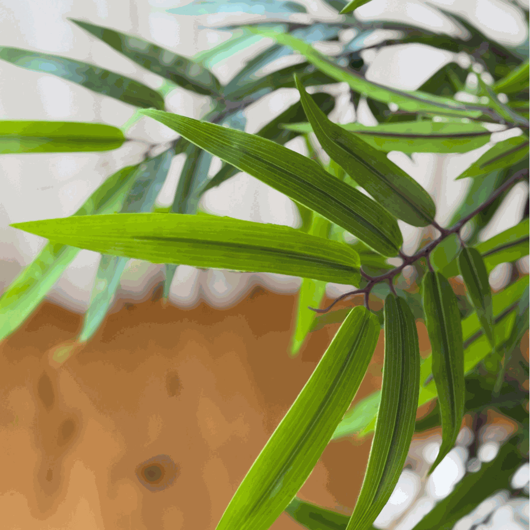 Kunstpflanze - Bamboo Kunstpflanze 160cm XXL - Studio Verde