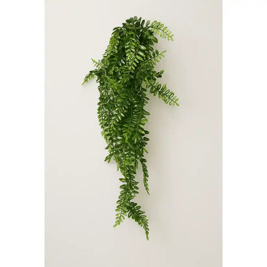 Farne Hängepflanze / 60cm