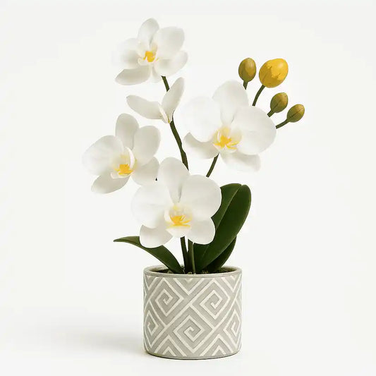 Künstliche Orchidee 45 cm mit zarten Blüten und eleganter Erscheinung