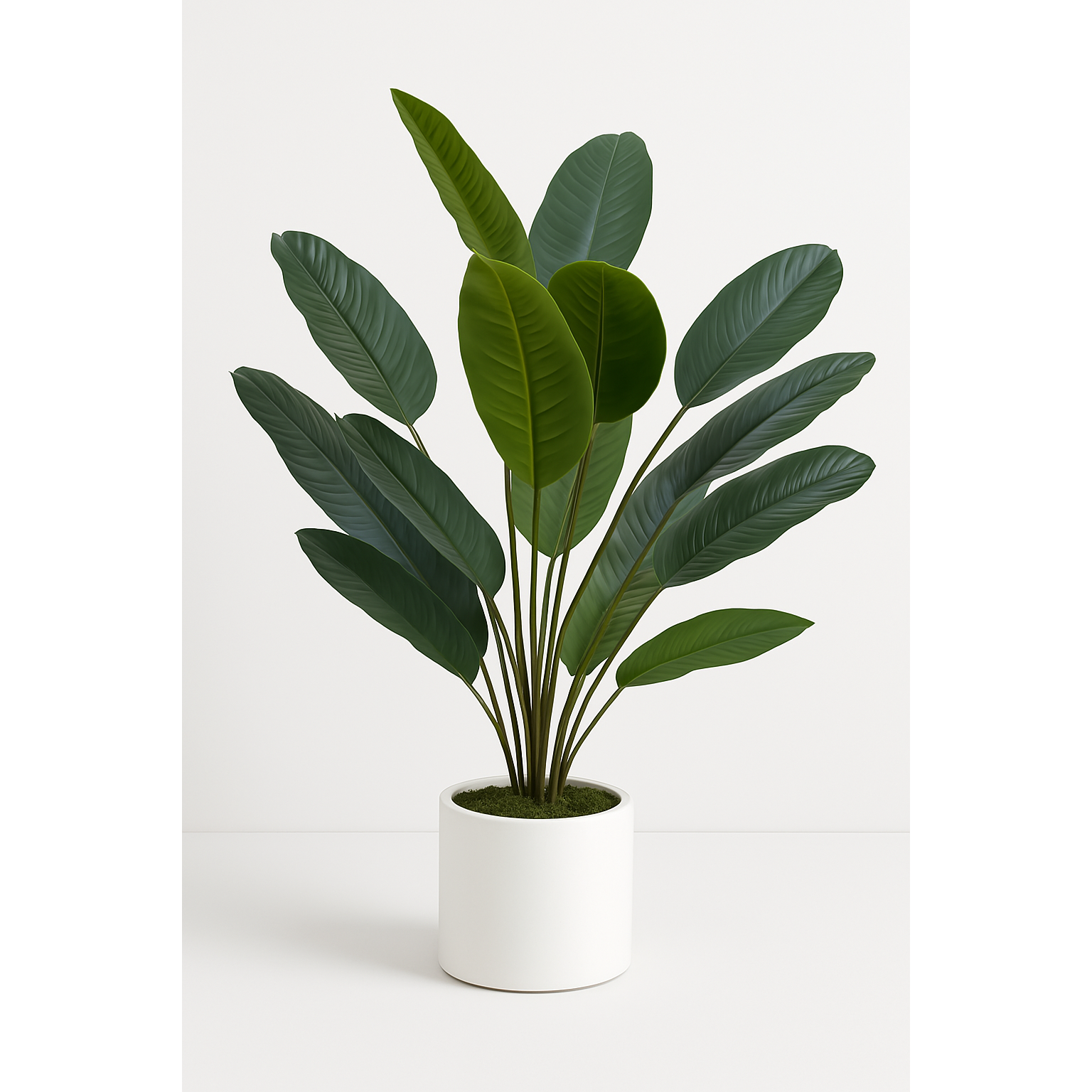 Palmen Kunstpflanze XXL/ 57cm-120cm