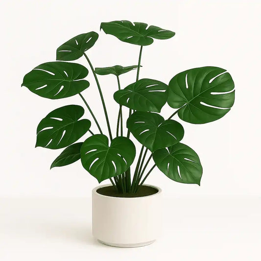 Künstliche Monstera Kunstpflanze 80cm mit exotischen, tief eingeschnittenen Blättern für modernes Wohnen