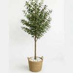 Oliven Baum XXL künstlich 60-180cm mediterraner Bestseller mit realistischen Blättern und Oliven