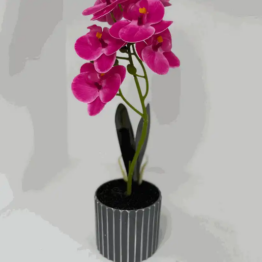 Künstliche Orchidee 45cm elegante Strelitzie Kunstpflanze für Wohnraum