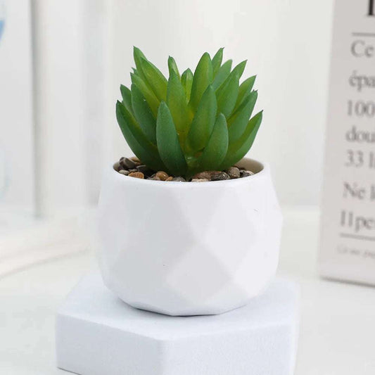 Kunstpflanze - Sukkulenten Bonsai Mini Kunstpflanzen - Studio Verde in modernem Topf auf Tisch