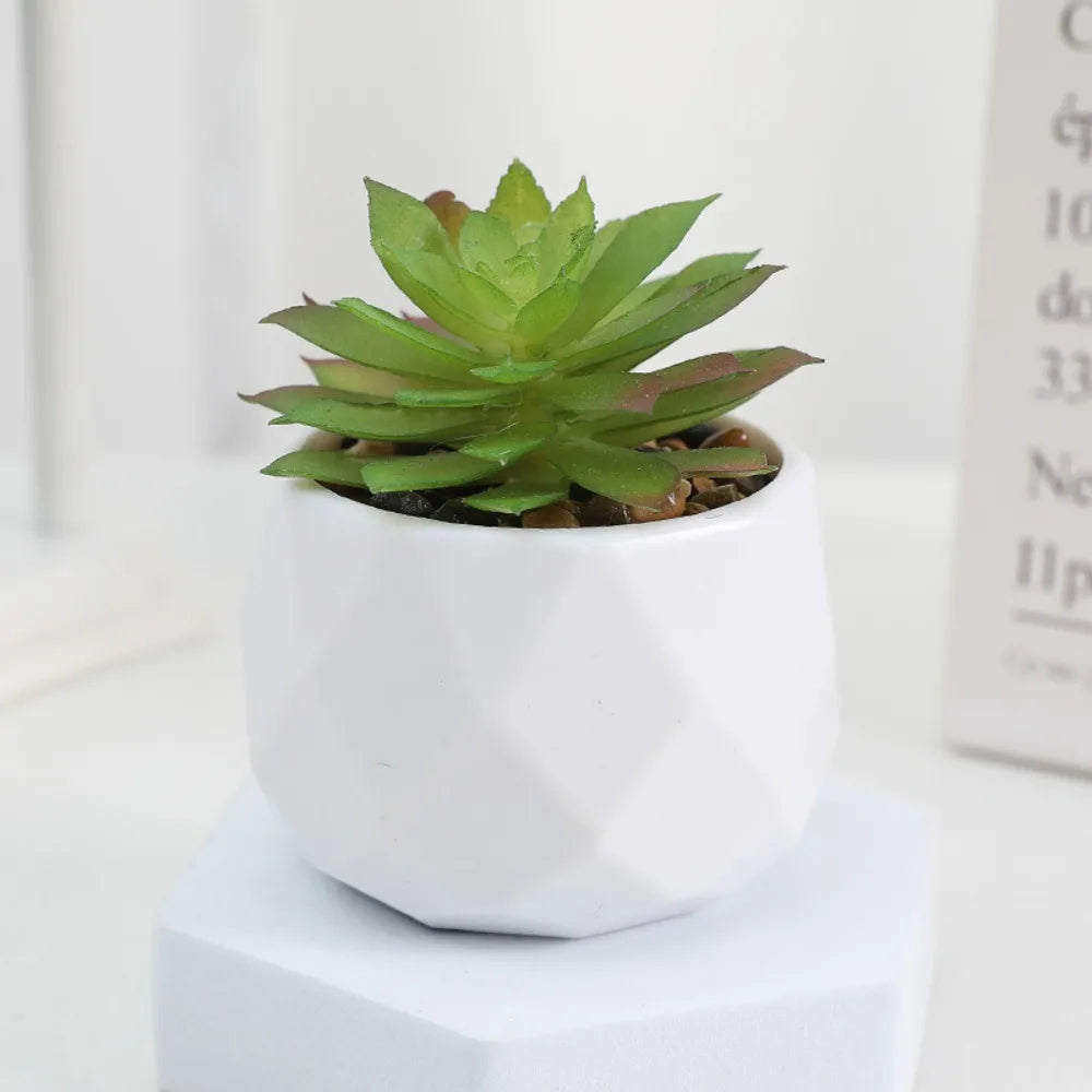 Sukkulenten Bonsai Mini Kunstpflanzen