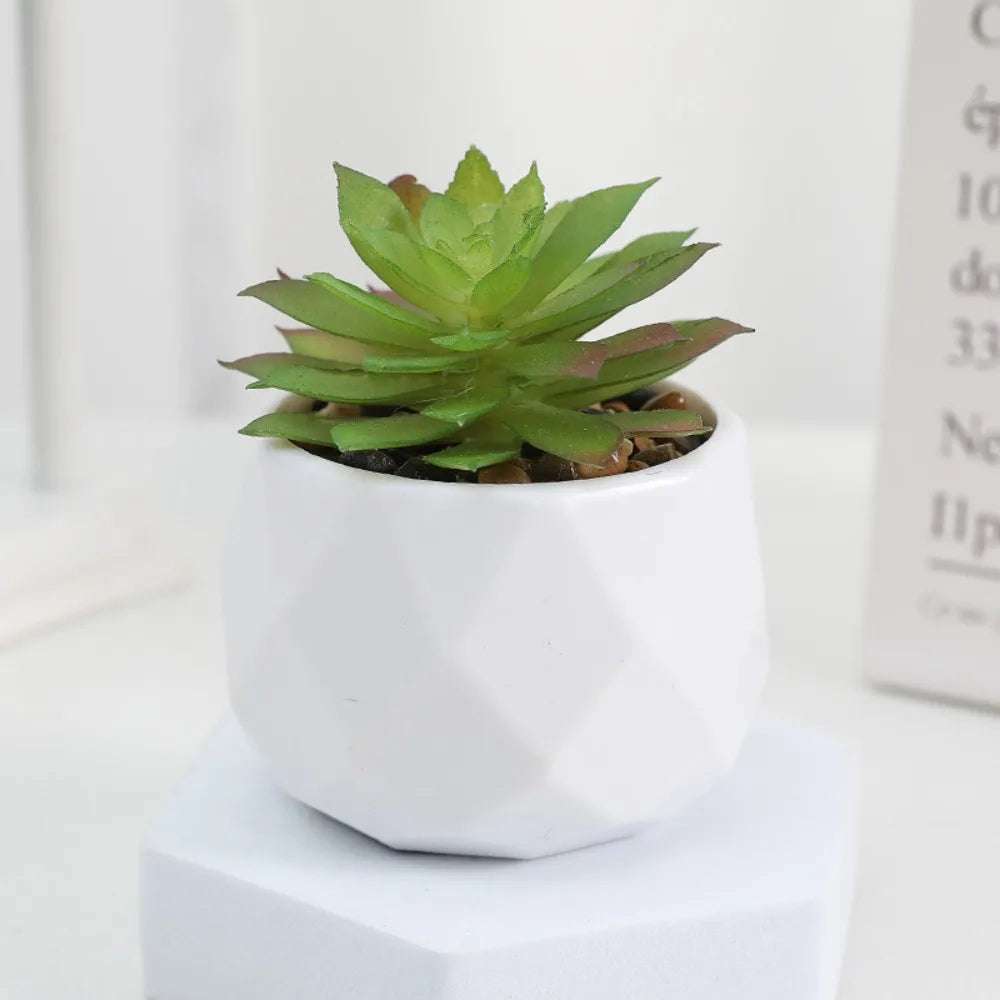 Kunstpflanze - Sukkulenten Bonsai Mini Kunstpflanzen - Studio Verde in einem modernen weißen Topf.