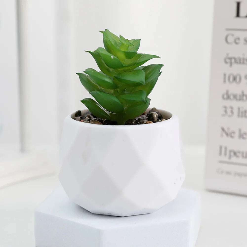 Kunstpflanze - Sukkulenten Bonsai Mini Kunstpflanzen - Studio Verde in modernem Topf, pflegeleichte künstliche Pflanze für Deko.