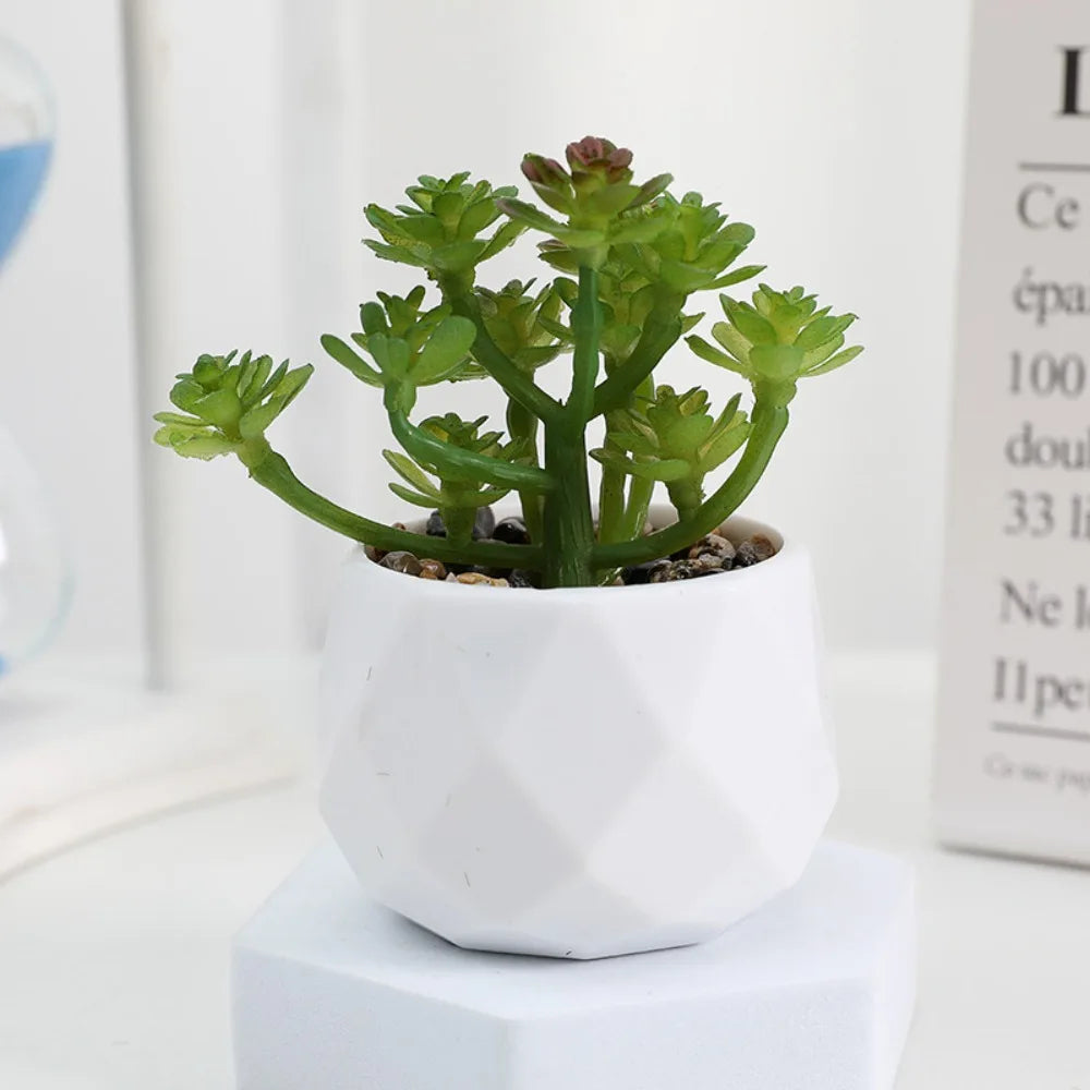 Sukkulenten Bonsai Mini Kunstpflanzen
