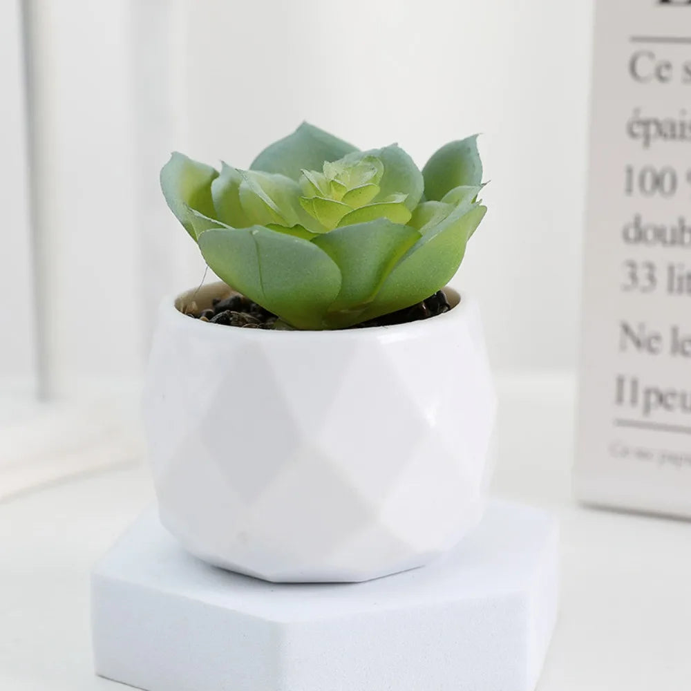 Sukkulenten Bonsai Mini Kunstpflanzen