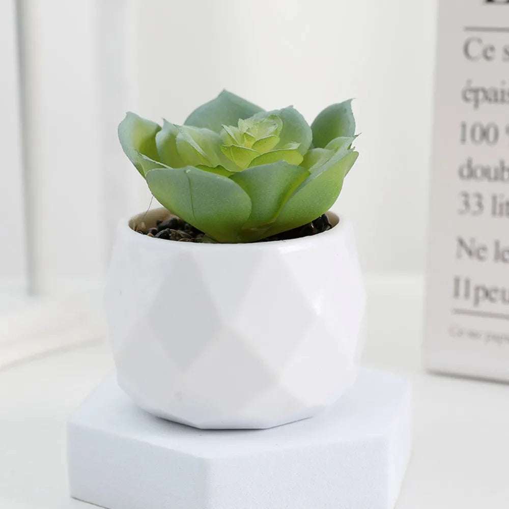 Kunstpflanze - Sukkulenten Bonsai Mini Kunstpflanzen - Studio Verde in modernem Topf