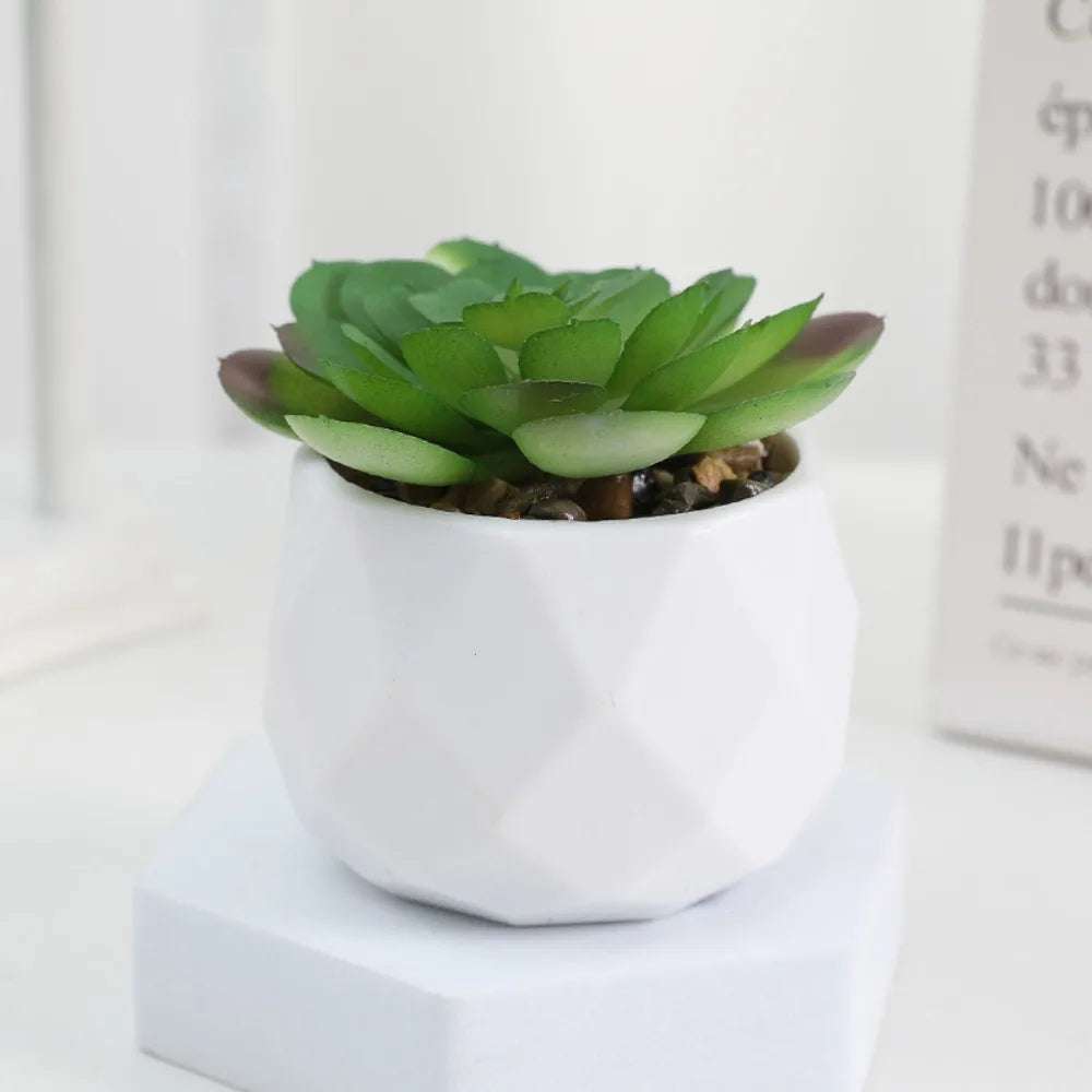 Kunstpflanze - Sukkulenten Bonsai Mini Kunstpflanzen - Studio Verde in modernem weißen Topf